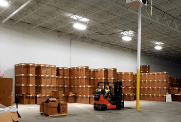 Warehousing & Distribution